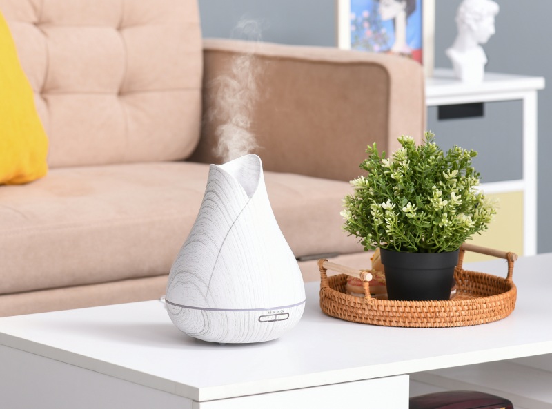 accessori-da-acquistare-per-soggiorno-diffusore