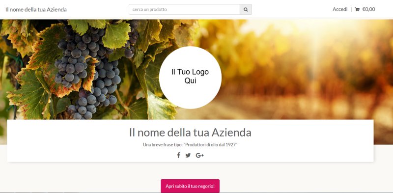 theshopway-ecommerce